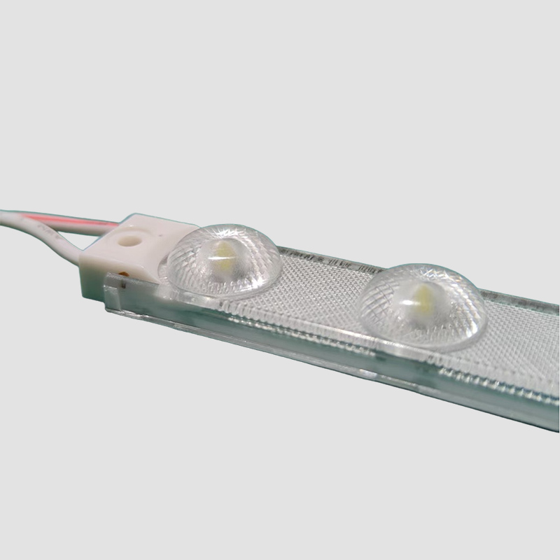 Economy Dual-LED Module